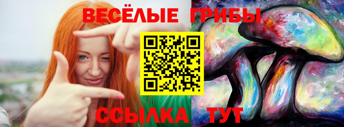 Псилоцибиновые грибы мухоморы Электрогорск