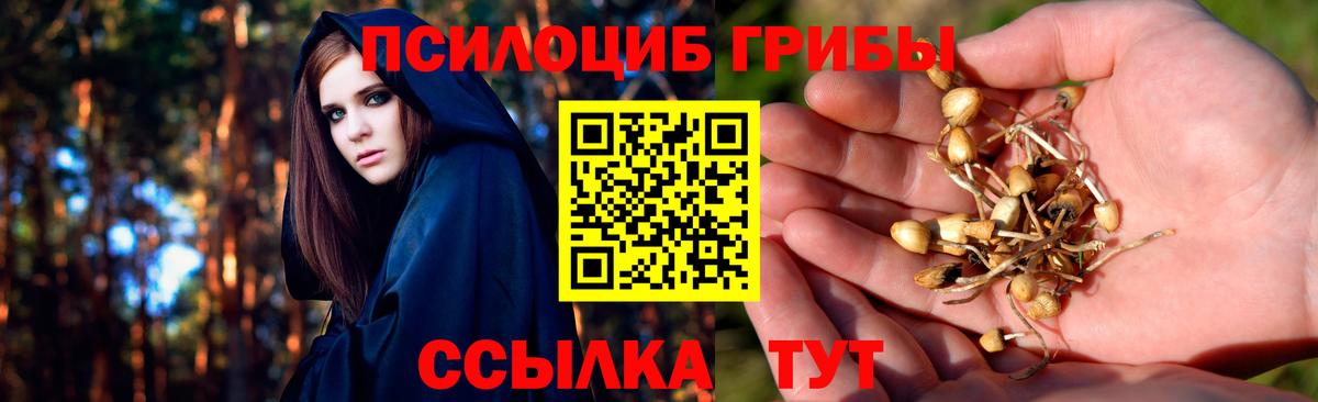 Псилоцибиновые грибы Psilocybine cubensis  Вход с VPN  Галлюциногенные грибы MAGIC MUSHROOMS  Электрогорск 